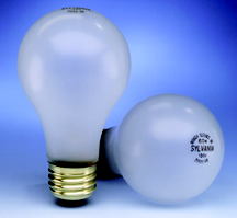 Lamps/Light Bulbs